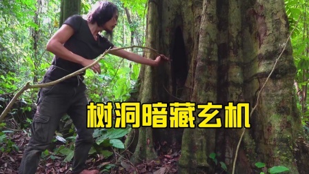 原始丛林人苏门答腊 第二季 越南丛林荒野求生，巨树洞里藏着东西