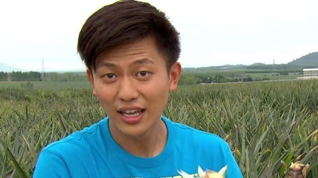 食在好源头 第二季 泰国爬树采杨桃