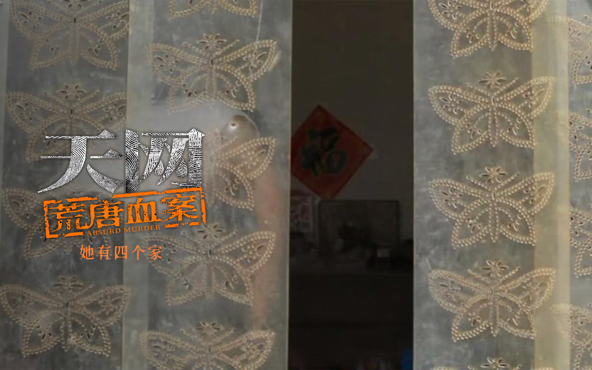 天网:荒唐血案 她有四个家