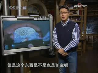 走近科学 驴生了“蛋”