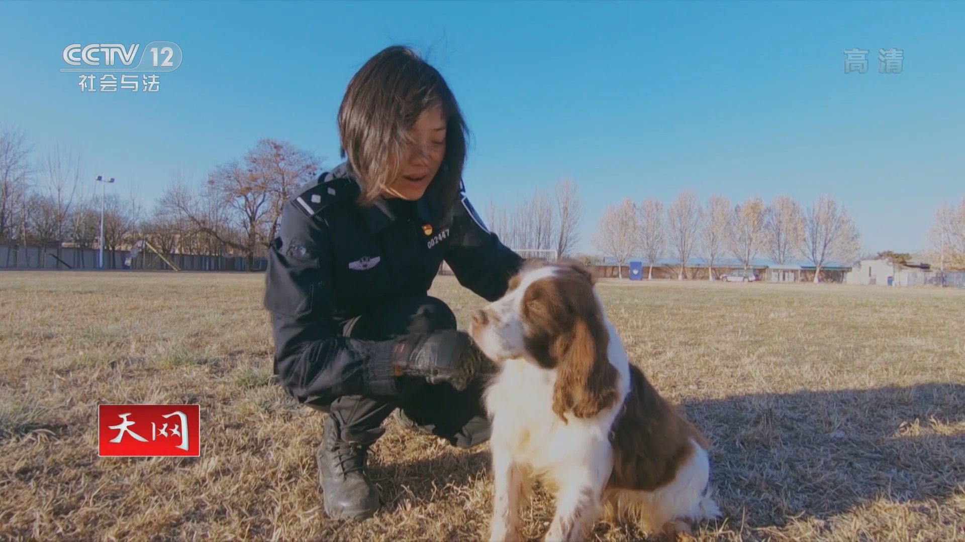 天网 《天网》 20220211 警犬档案（5）
