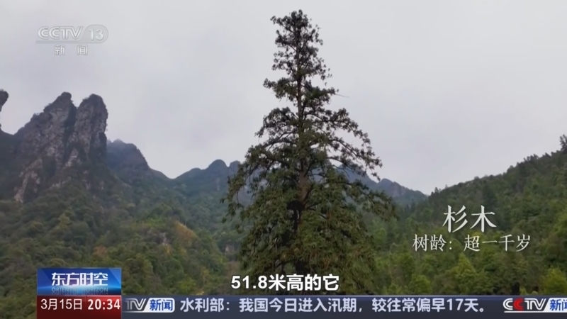 东方时空 《东方时空》 20250315