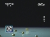 我爱发明 《我爱发明》 20140403 豆芽快长