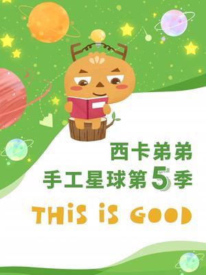 西卡弟弟手工星球第五季