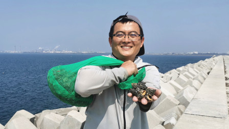 思乡渔夫赶海 1斤50块钱的辣螺，渔夫赶海捡了十几斤，跟捡钱似的!