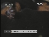 天网 《天网》 20121001 八集系列片《警·犬》——出师之地（上）