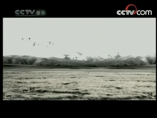 民歌&middot;中国 民歌·中国 2008年 第86期