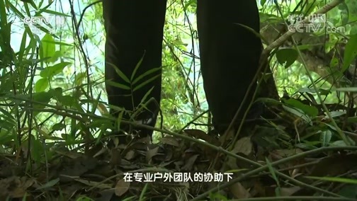 地理中国 《地理中国》 20190317 平塘“天眼”