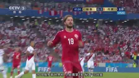 铜墙铁壁 丹麦铁壁中场拉塞·舍内精彩防守集锦