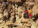 走近科学 《走近科学》 20151230 食材新说之燕窝（上）