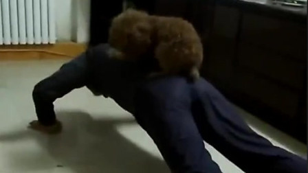 让狗狗一起和我锻炼身体