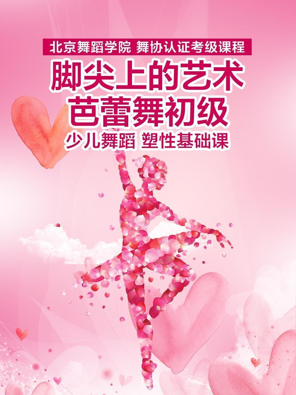 脚尖上的艺术：芭蕾舞初级