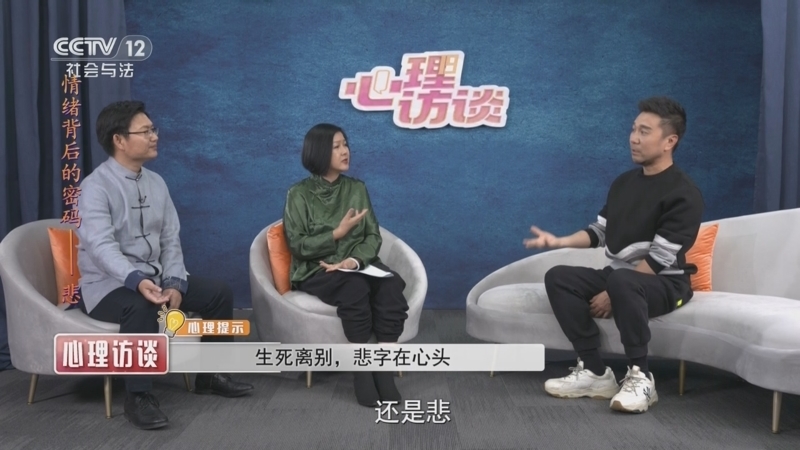 《心理访谈》 20251129 情绪背后的密码——悲