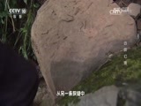 地理中国 《地理中国》 20170309 四屏幻境
