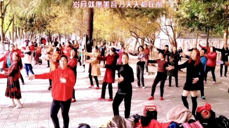 阿姨们跳热门广场舞《岁月美容刀》愿我们青春永不老