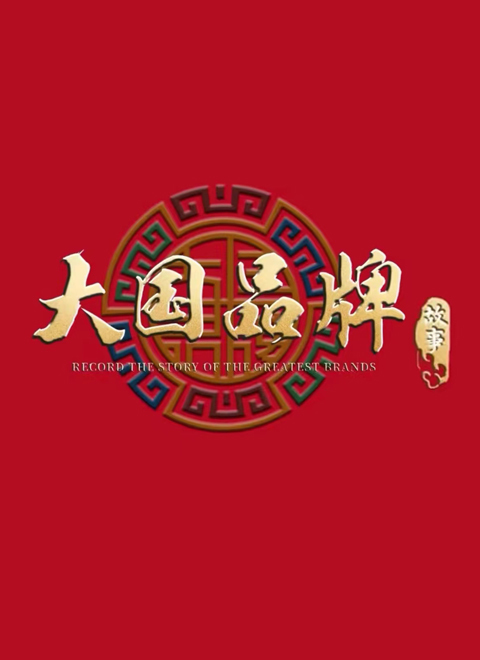 大国品牌故事 海报