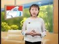 新语文小天才 新语文小天才04-第二十二课打蚊子战斗