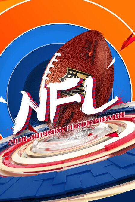 2018-2019赛季NFL职业橄榄球大联盟