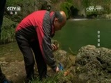 地理中国 《地理中国》 20161019 钟祥奇窟（上）