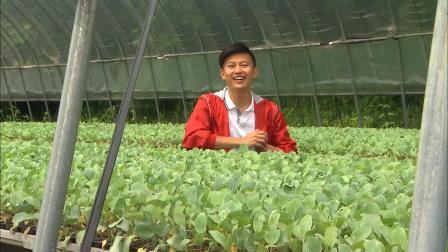 日本熊本县：马青鱼 初恋高丽菜 油甘鱼 章鱼 蓝鳍鲔