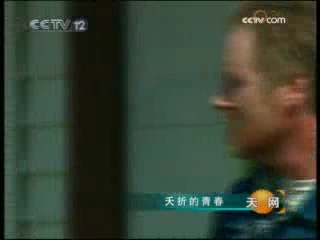 天网 夭折的青春