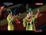 风华国乐 风华国乐 2010年 第176期