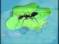 宝宝的双语乐园 Mysterious insects