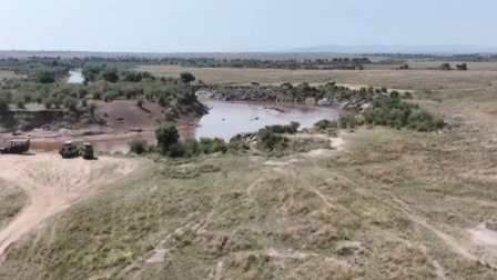 东非野生动物大迁徙 阳光下的绿色国度