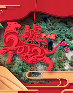 乡聚中国年-产业篇