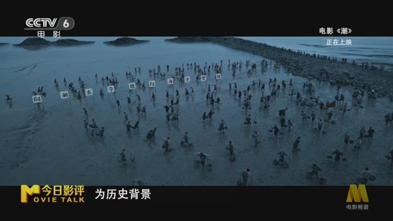 今日影评 《今日影评》 20250312 《潮》