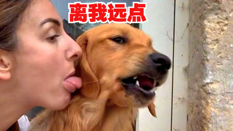女神对单身汪这样遭嫌弃