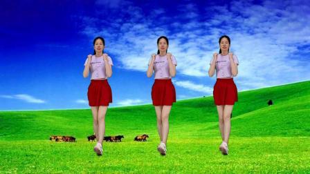 动感广场舞《酒醉的人生》弹跳32步