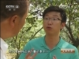 生财有道 《生财有道》 20121024 五华鸡成就一方财富