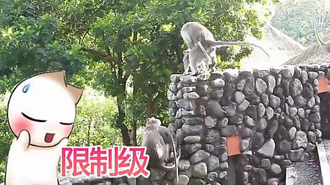 XFun吃货俱乐部2013 巴厘岛猴子太奔放 法式大餐抚慰吃货