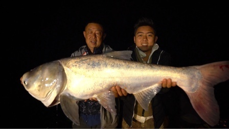筏钓龙马江 夜获巨型大鲢鳙