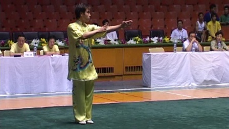 尘封赛事 2005年全国武术套路冠军赛传统项目比赛 男子拳术 033