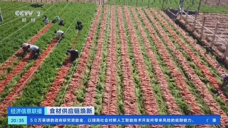 经济信息联播 《经济信息联播》 20240523