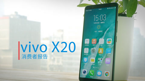 FView vivo X20 消费者报告