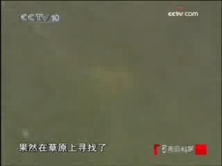 走近科学 叛逆的蜘蛛