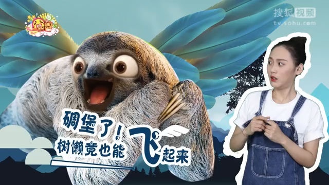 囧闻一箩筐 碉堡了！树懒竟也能飞起来【囧闻一箩筐】