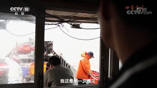 味道 《味道》 20180902 四季味道（64） 什么是最能锁住鱼鲜的做法？