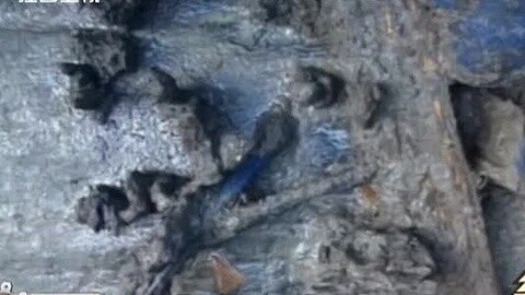 经典传奇 千年古墓蓝色骸骨之谜