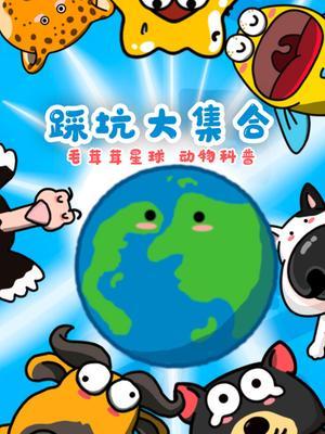 踩坑大集合
