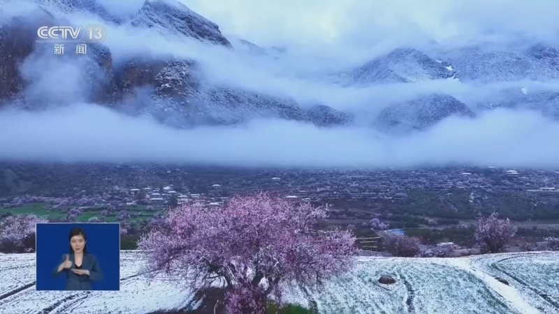 《共同关注》 20260326