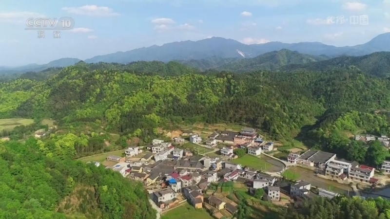 地理中国 《地理·中国》 20240628 荆楚之南·林（下）