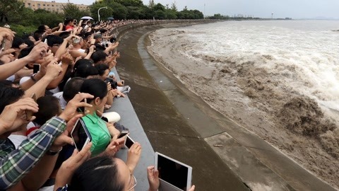 城市资讯台 城市资讯台20190730