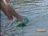 生财有道 《生财有道》 20130813 走进农家乐系列：《大别山里的藏宝图》（下）