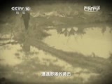 地理中国 《地理中国》 20150420 世界地球日特别节目·疯狂的入侵者
