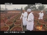 北纬30&deg;&middot;中国行 （下） 《远方的家》 北纬30°·中国行（133） 20121228