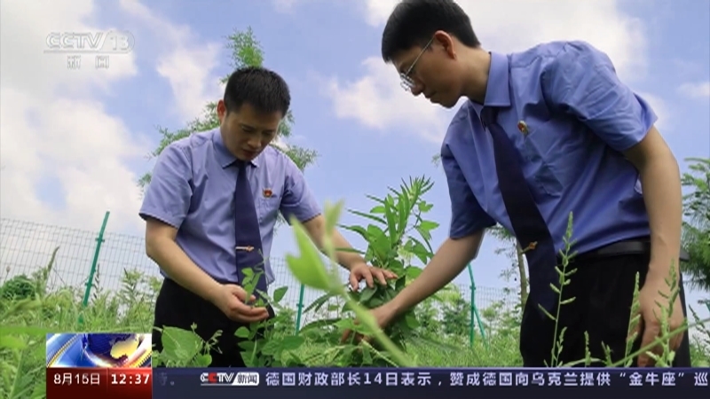 法治在线 《法治在线》 20230815